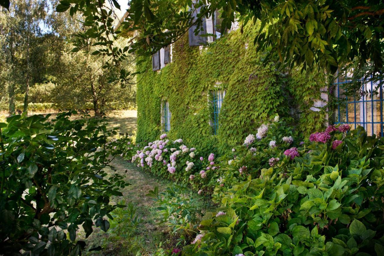 Agriturismo Tra Le Vigne Buttrio Zewnętrze zdjęcie