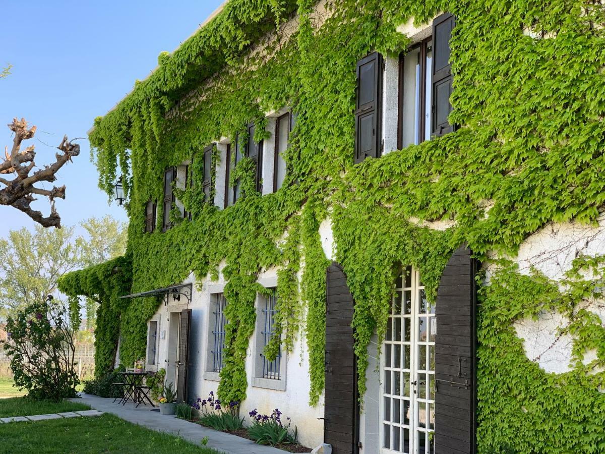 Agriturismo Tra Le Vigne Buttrio Zewnętrze zdjęcie